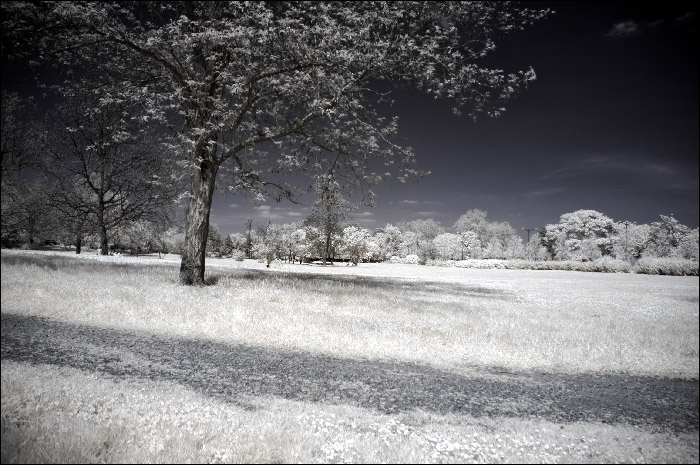 Photo Infrarouge du parc de la Cpire