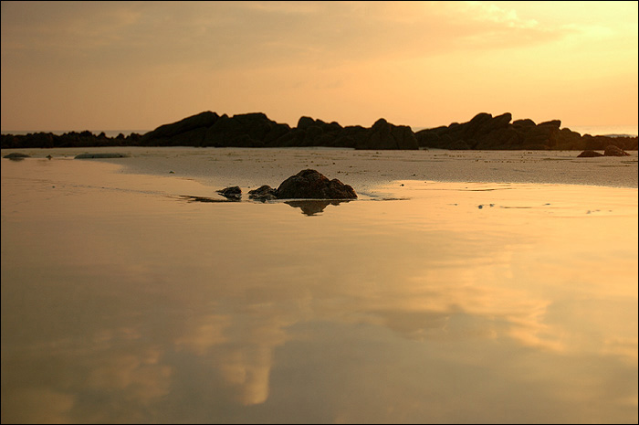 Reflets dors